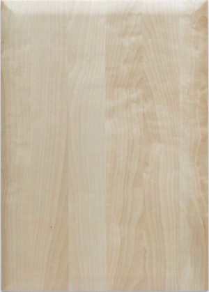 Fall björk kökslucka